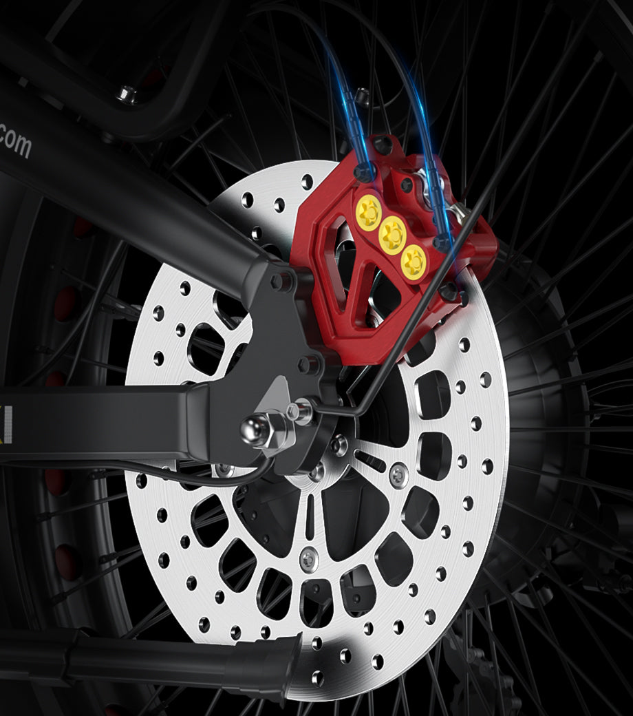 Rear Disc