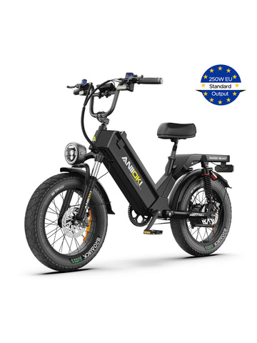 Aniioki Ebike - 1