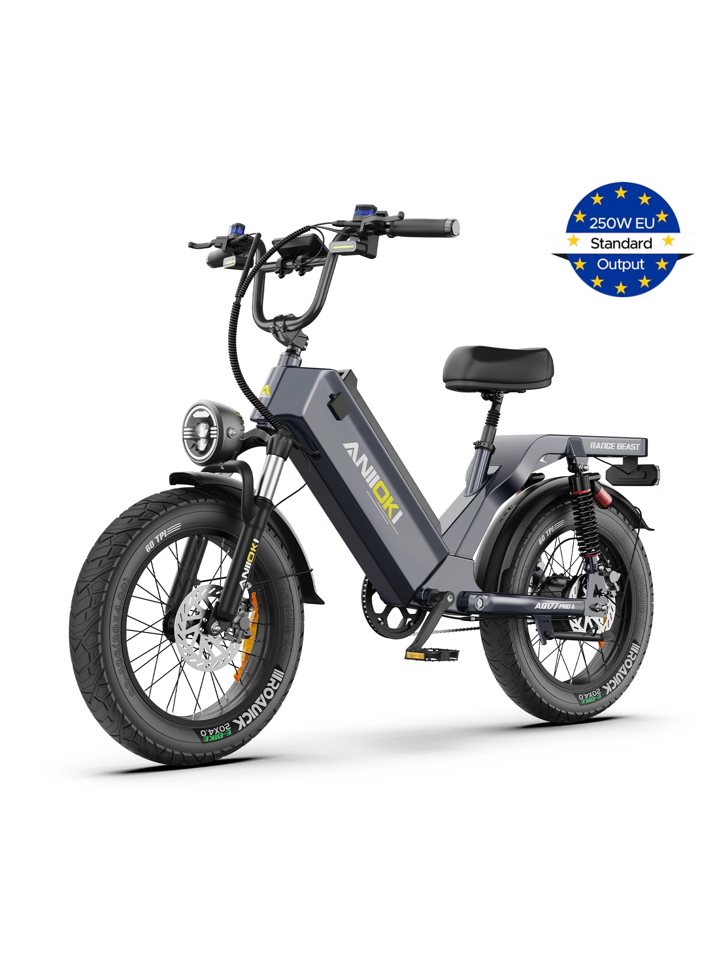 Aniioki Ebike - 1