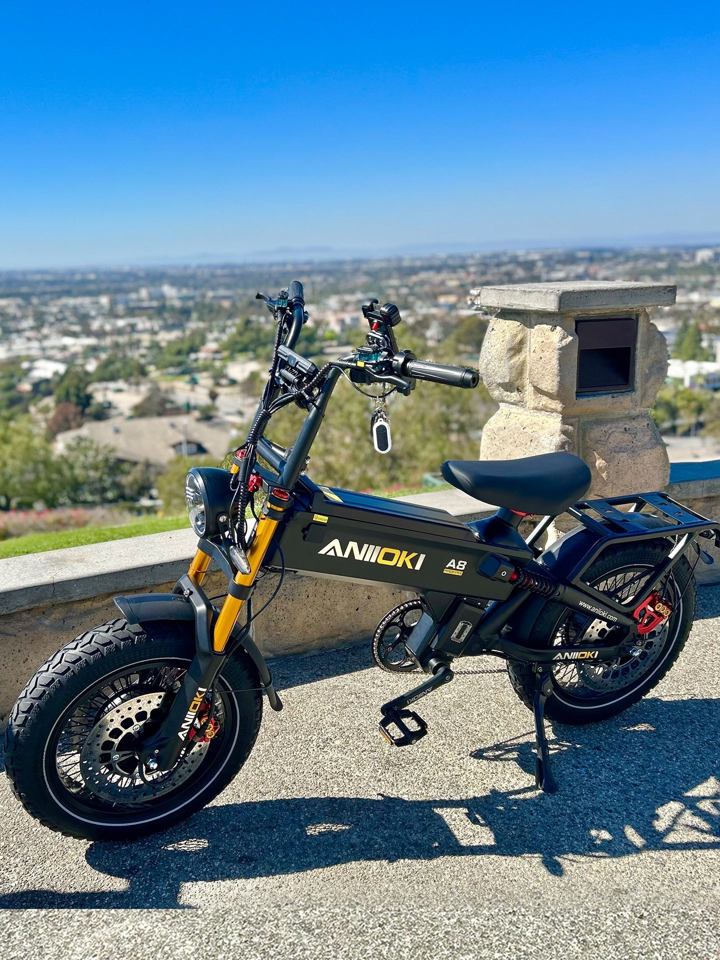 Bundle Sale - A8 Pro Max Dual Motor 60V 70Ah x 2