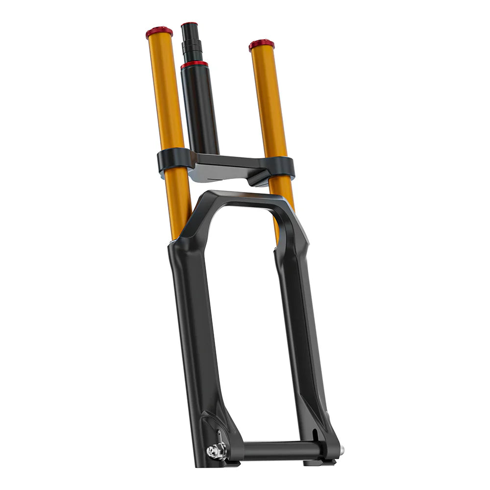 Aniioki Ebike Front Fork