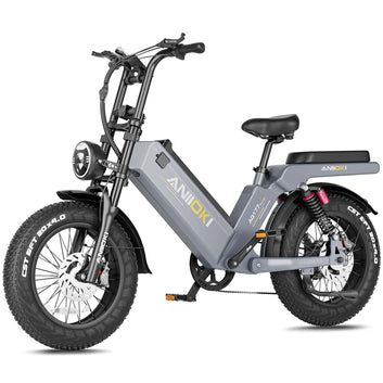 BFCM AQ177 Pro Max Matte Gray eBike